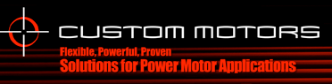 Custom Servo Motors