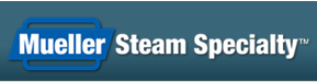 Mueller Steam