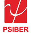 Psiber Data Systems